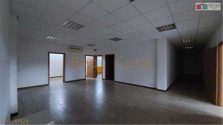 Foto Laboratorio in Affitto, pi di 6 Locali, 420 mq, Modena (Madonni