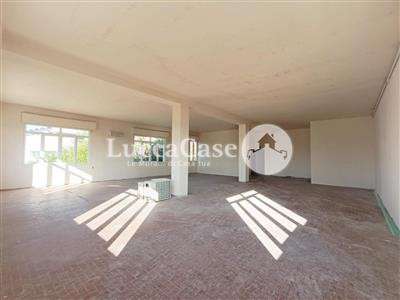 Foto Laboratorio in buono stato di 220 mq. a Turchetto