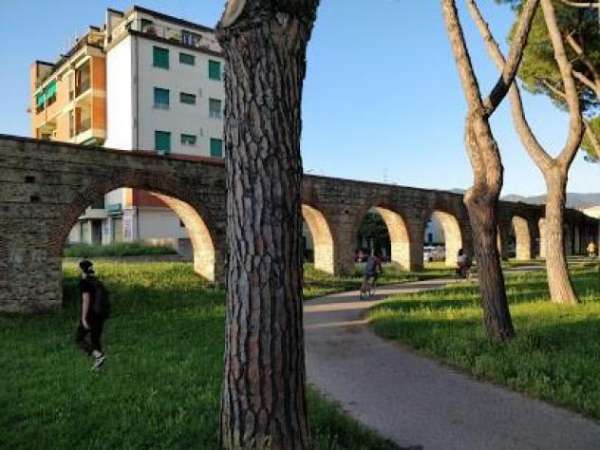Foto Locale comm.le/Fondo in affitto a Pisa 35 mq  Rif: 1090032