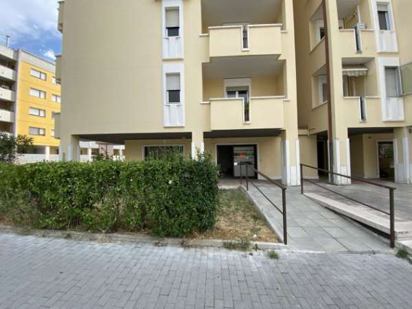 Foto Locale Commerciale in Affitto o Vendita  Campobasso, Via Pirandello 39
