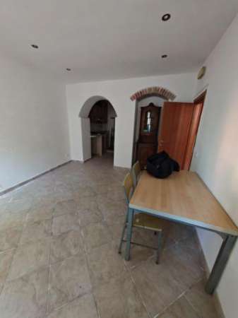 Foto Loft in affitto a Bedizzano - Carrara 20 mq  Rif: 1335251