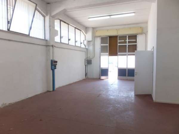 Foto Magazzino 205 mq, zona Baraccola