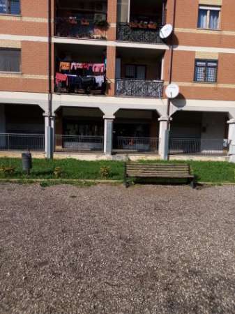 Foto Magazzino C2 a Tor Bella Monaca Via San Biagio Platani