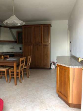 Foto Mini arredato zona zelarino con giardino privato