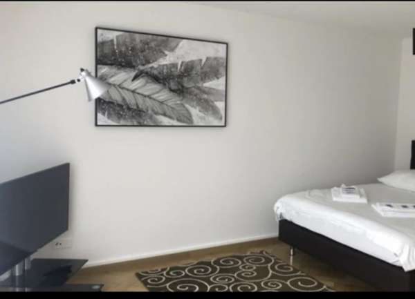 Foto MOLINETTE PIAZZA CARDUCCI: 370 euro