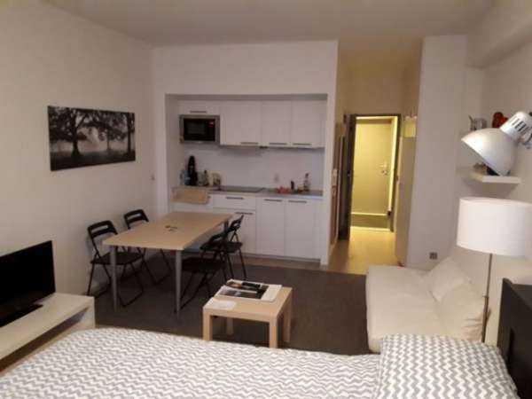 Foto Monolocale arredato di 35m