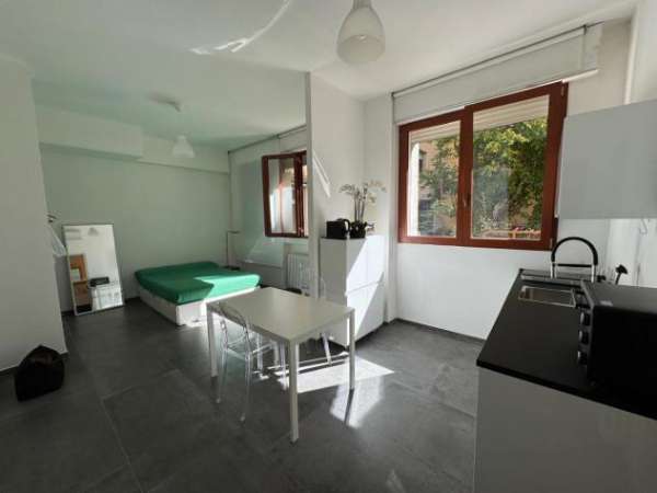 Foto Monolocale in affitto a Bologna