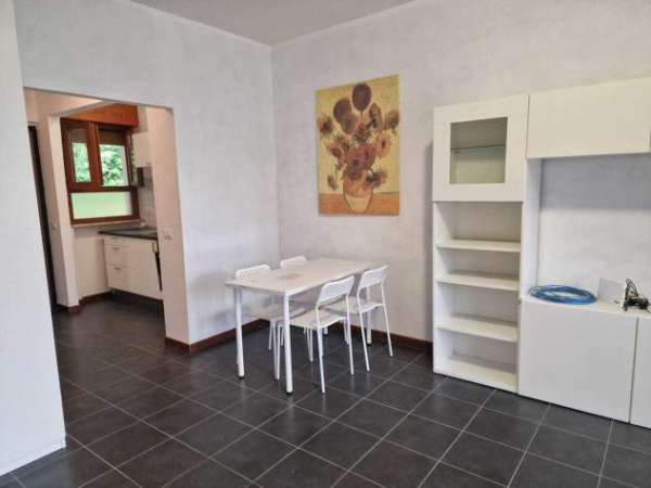 Foto Monolocale in affitto a Brusimpiano