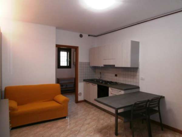 Foto Monolocale in affitto a Rovigo