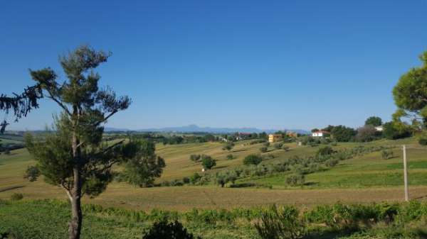 Foto Monolocale in affitto a Senigallia
