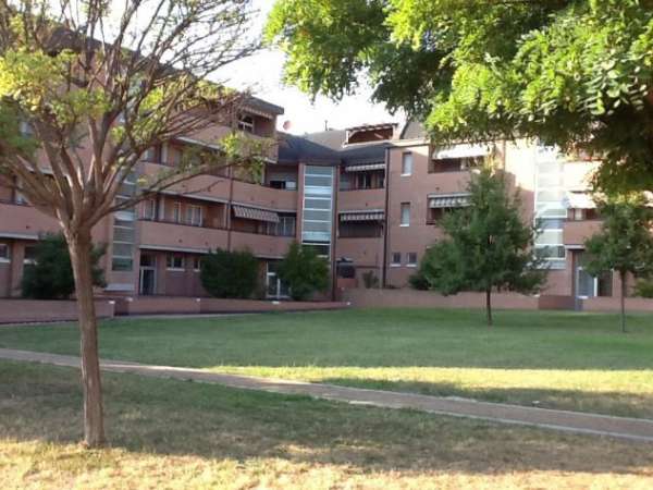 Foto Monolocale zona Fiera da dicembre