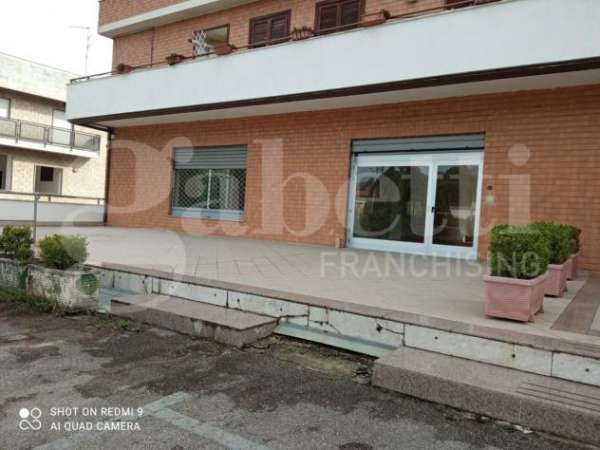 Foto Negozio in affitto a Apollosa - 2 locali 220mq