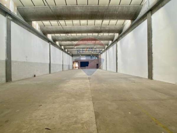 Foto Negozio in affitto a Empoli - 6 locali 550mq