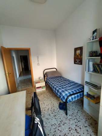 Foto Offro camera in affitto a studente universitario