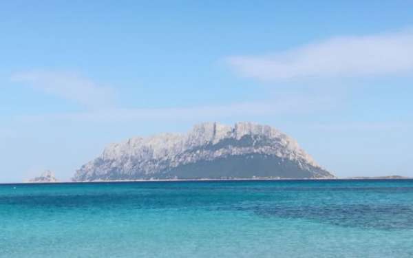 Foto Offro camera singola in villa zona residenziale olbia