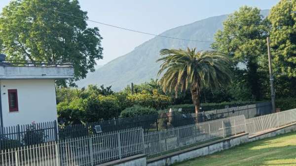 Foto Offro villa immersa nel verde