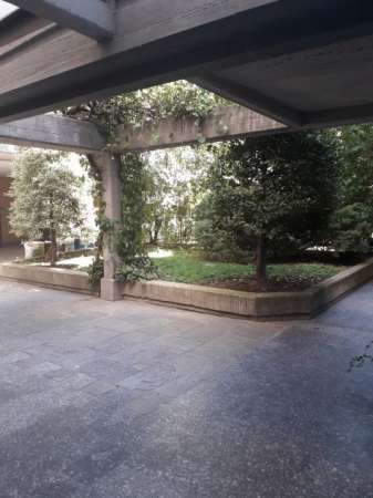 Foto PAVIA, PIAZZA DELLA MINERVA