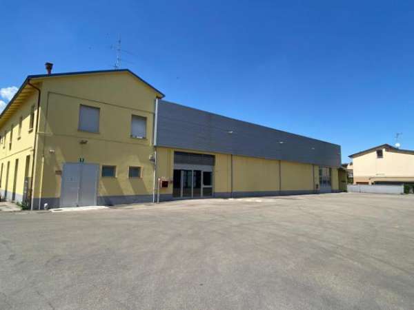 Foto Pentalocale in affitto a Castelfranco Emilia