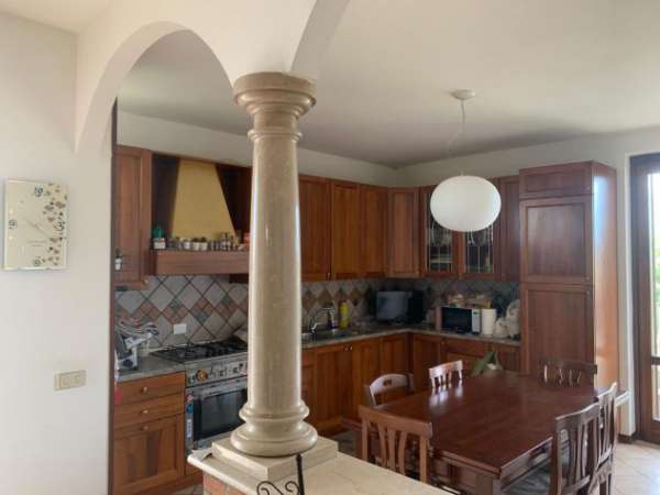 Foto Privato affitta