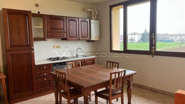 Foto Quadrilocale in affitto a Albettone