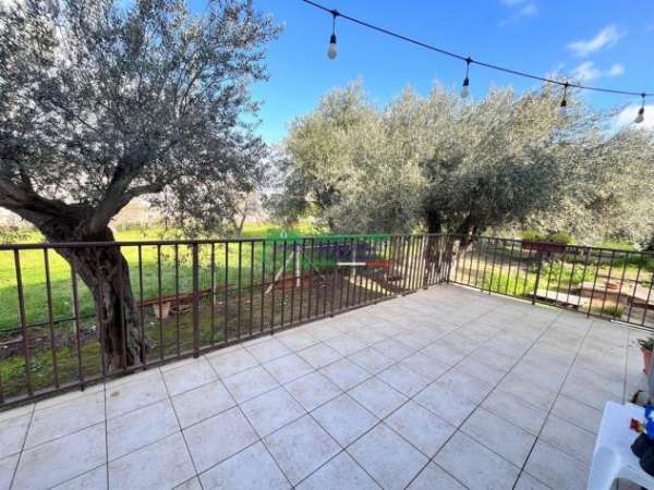 Foto Rif:2674 - Villetta con veranda e giardino in affitto estivo � Comiso
