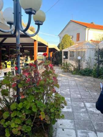 Foto Ristorante in affitto a Senigallia