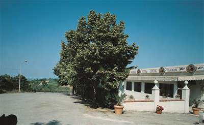 Foto Ristorante Pizzeria a Verucchio