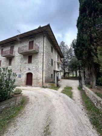 Foto Rustico in affitto a Assisi - 5 locali 250mq