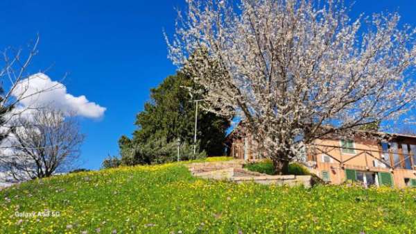 Foto Rustico in affitto a Crespina - Crespina Lorenzana 100 mq  Rif: 1350695