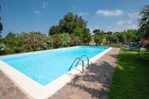 Foto Rustico in affitto a Nettuno