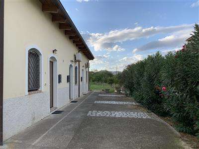 Foto Semindipendente - Porzione di casa a Barone, Catanzaro