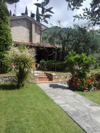 Foto Singola in affitto a Pietrasanta, Capezzano Monte