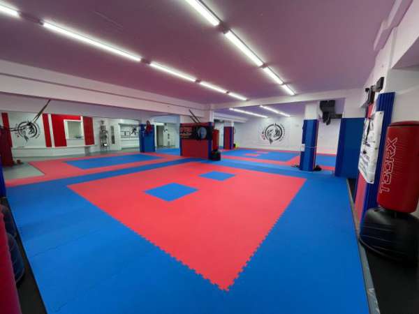 Foto Spazio con tatami per attivit  sportiva