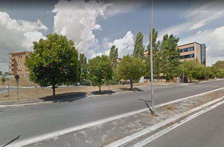 Foto STABILE/PALAZZO in Affitto, pi di 6 Locali, 2300 mq, ROMA (SALA