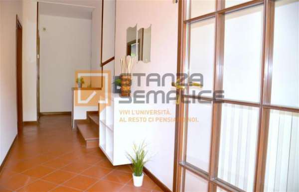 Foto STANZA in AFFITTO (MODENA) rif. MODENA FILIALE 1_STZ0017