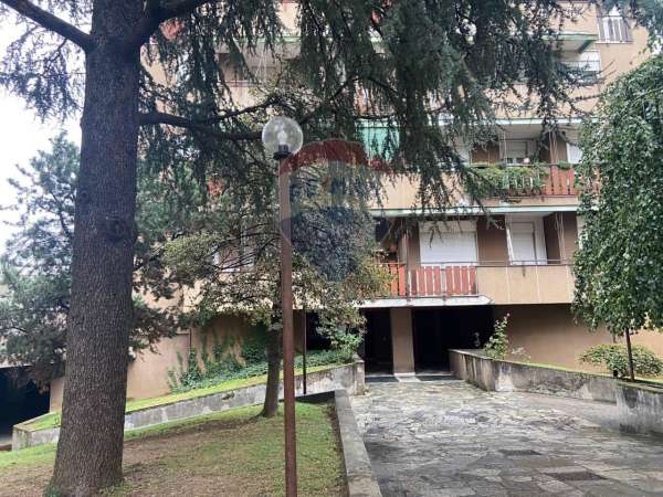Foto Stanza in appartamento in affitto a Busto Arsizio