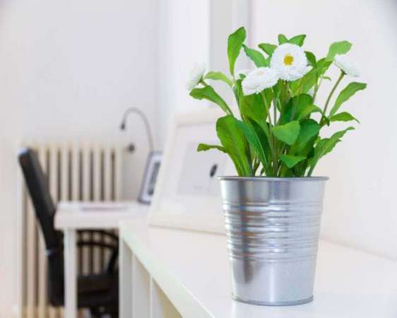 Foto Stanza in Via Renato Serra