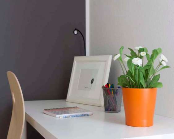 Foto Stanza in Viale Carlo Espinasse