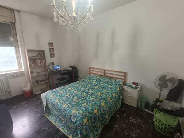 Foto Stanza in zona centrale Bologna