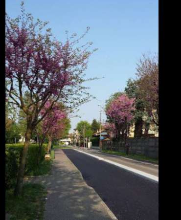 Foto STANZA SINGOLA A DESIO VICINO ALLA STAZIONE FS-LIBERA SUBITO