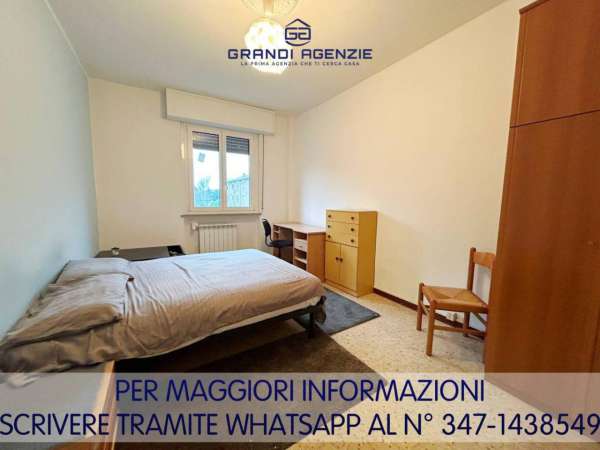 Foto Stanza/Camera in affitto a Parma
