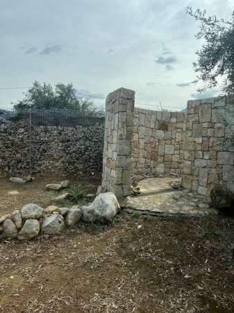 Foto Terreno