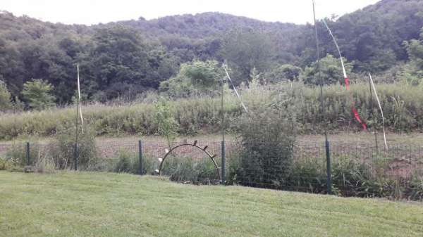 Foto TERRENO A CELLATICA 8000 MQ AFFITTASI POSTO X ROULOTTE