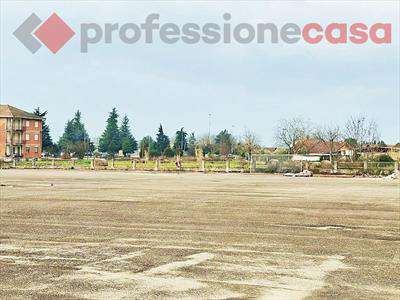 Foto Terreno Agricolo in Affitto, 6500 mq (Piedimonte San Germano)