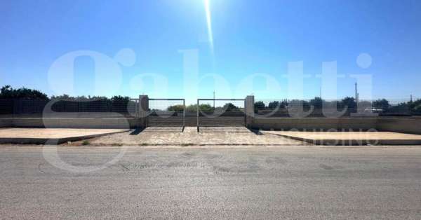 Foto Terreno agricolo in affitto a Avola