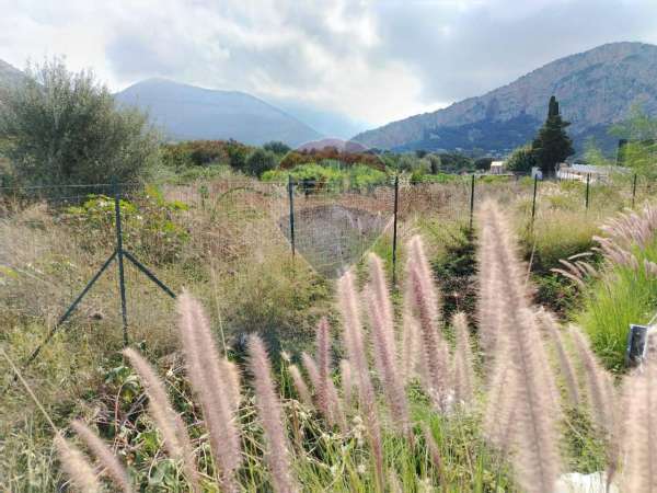 Foto Terreno agricolo in affitto a Capaci