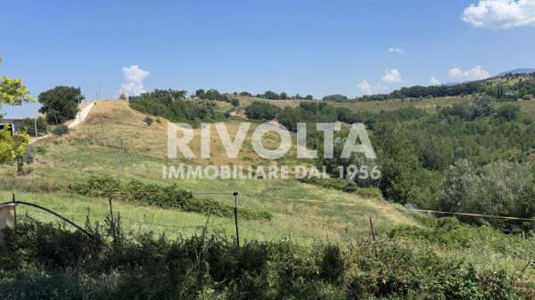 Foto Terreno agricolo in affitto a Collevecchio