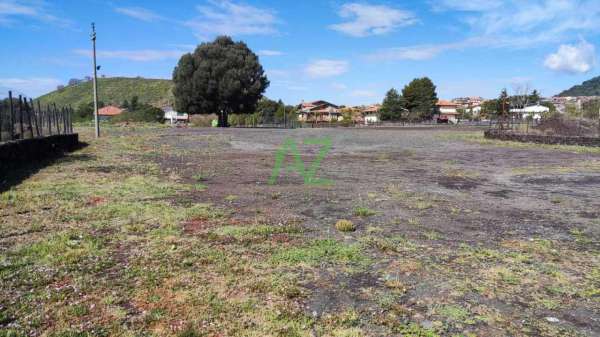 Foto Terreno agricolo in affitto a Mascalucia