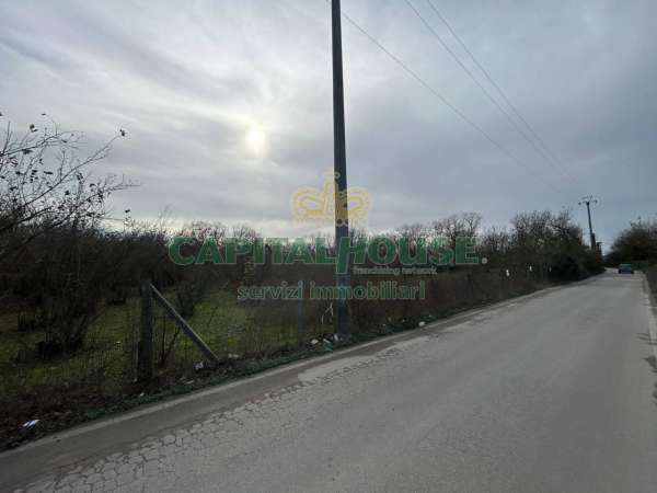 Foto Terreno agricolo in affitto a San Gennaro Vesuviano