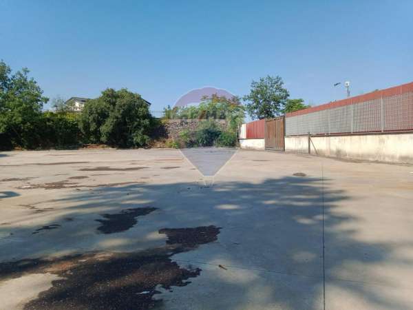 Foto Terreno agricolo in affitto a San Giovanni La Punta